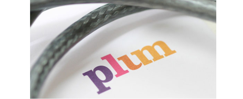 logotype-plum